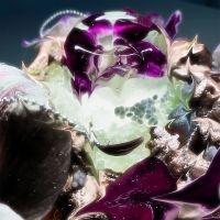 Dragongirl - Hot Blue in der Gruppe CD / Kommande / Pop-Rock bei Bengans Skivbutik AB (5638988)