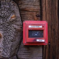 Reolo - Dystopi Delete in der Gruppe UNSERE TIPPS / Freitagsveröffentlichungen / 2025-10-10 bei Bengans Skivbutik AB (5639003)