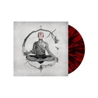 We Came As Romans - We Came As Romans in der Gruppe VINYL / Pop-Rock bei Bengans Skivbutik AB (5639034)