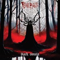 Black Raven - Black Sonata in der Gruppe CD / Hårdrock bei Bengans Skivbutik AB (5639151)