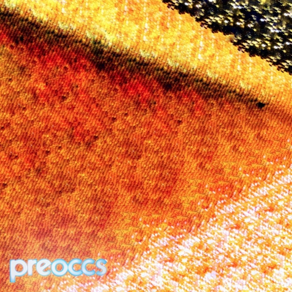 Preoccupations - Mur/Ponr (Yellow Vinyl) in der Gruppe UNSERE TIPPS / Freitagsveröffentlichungen / 2025-10-10 bei Bengans Skivbutik AB (5639155)