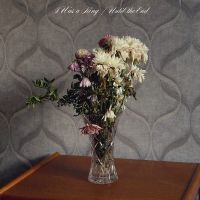 I Was A King - Until The End in der Gruppe VINYL / Pop-Rock bei Bengans Skivbutik AB (5639177)