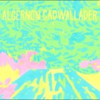 Algernon Cadwallader - Trying Not To Have A Thought in der Gruppe CD / Kommande / Pop-Rock bei Bengans Skivbutik AB (5639620)