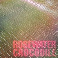 Cousin Tony's - Brand New Firebird - Rosewater Croc in der Gruppe VINYL / Kommande / Pop-Rock bei Bengans Skivbutik AB (5639631)
