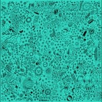 Donner Party - Donner Party in der Gruppe UNSERE TIPPS / Freitagsveröffentlichungen / 2025-09-19 bei Bengans Skivbutik AB (5639686)