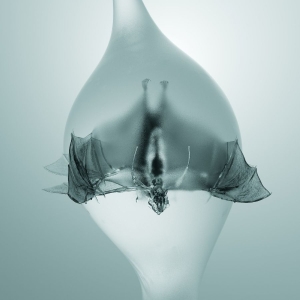 Unprocessed - Angel in der Gruppe UNSERE TIPPS / Freitagsveröffentlichungen / 2025-10-31 bei Bengans Skivbutik AB (5639933)