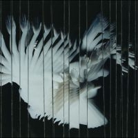 Scaler - Endlessly in der Gruppe VINYL / Kommande / Pop-Rock bei Bengans Skivbutik AB (5639962)