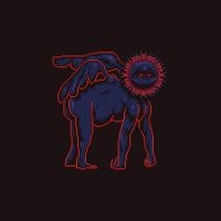 Sanam - Sametou Sawtan in der Gruppe UNSERE TIPPS / Freitagsveröffentlichungen / 2025-09-19 bei Bengans Skivbutik AB (5640156)