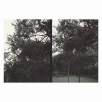 Okkyung Lee - Just Like Any Other Day (***) : Bac in der Gruppe UNSERE TIPPS / Freitagsveröffentlichungen / 2025-09-05 bei Bengans Skivbutik AB (5640185)