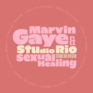 Marvin Gaye & Studio Rio - Sexual Healing in der Gruppe VINYL bei Bengans Skivbutik AB (5640370)