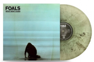 Foals - What Went Down (10Th Anniversary) in der Gruppe VINYL / Kommande / Pop-Rock bei Bengans Skivbutik AB (5640565)
