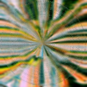 Hoffmann Nils - Everlight in der Gruppe VINYL / Kommande / Pop-Rock bei Bengans Skivbutik AB (5640698)