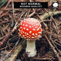 Not Normal - Modærn Qualitet in der Gruppe CD / Kommande / Jazz bei Bengans Skivbutik AB (5640792)