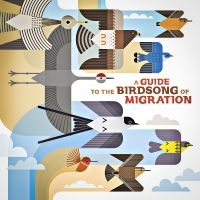 Various Artists - A Guide To The Birdsong Of Migratio in der Gruppe VINYL / Kommande / Pop-Rock bei Bengans Skivbutik AB (5640906)