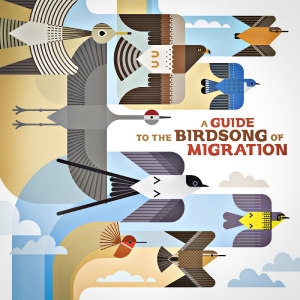 Various Artists - A Guide To The Birdsong Of Migratio in der Gruppe VINYL / Pop-Rock bei Bengans Skivbutik AB (5640906)