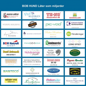 Bob Hund - Låter Som Miljarder in der Gruppe VINYL / Kommande / Pop-Rock,Svensk Musik bei Bengans Skivbutik AB (5641304)