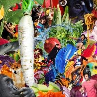 Jetski - The Radiant Radish in der Gruppe Kommande / Pop-Rock bei Bengans Skivbutik AB (5641544)