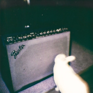 Shrine Maiden - A Theory Of /Cloud/ in der Gruppe UNSERE TIPPS / Freitagsveröffentlichungen / 2025-11-14 bei Bengans Skivbutik AB (5641564)