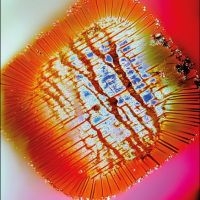 Mac Declos - Nothing Stands Still in der Gruppe UNSERE TIPPS / Freitagsveröffentlichungen / 2025-10-03 bei Bengans Skivbutik AB (5641579)