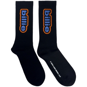 Billie Eilish - Outline Logo Uni Bl Socks (Eu 36-40) in der Gruppe MERCHANDISE / Strumpor / Pop-Rock bei Bengans Skivbutik AB (5641761)