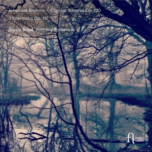 Johannes Brahms - Clarinet Sonatas, Op. 120 & 3 Inter in der Gruppe CD / Kommande / Klassiskt bei Bengans Skivbutik AB (5641993)