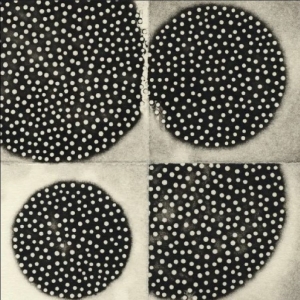 Leimer K. - Resting Forms in der Gruppe UNSERE TIPPS / Freitagsveröffentlichungen / 2025-09-19 bei Bengans Skivbutik AB (5642287)