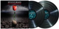SpockS Beard - Archaeoptimist The (2 Lp Black Viny in der Gruppe VINYL / Kommande / Pop-Rock bei Bengans Skivbutik AB (5642315)