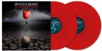 SpockS Beard - Archaeoptimist The (2 Lp Red Vinyl) in der Gruppe VINYL / Kommande / Pop-Rock bei Bengans Skivbutik AB (5642317)