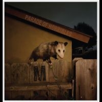Parade Of Horribles - Nma in der Gruppe CD / Kommande / Pop-Rock bei Bengans Skivbutik AB (5642348)