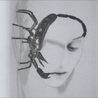 Tortoise - Touch in der Gruppe CD / Kommande / Pop-Rock bei Bengans Skivbutik AB (5642365)