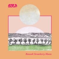 Gulp - Beneath Strawberry Moons in der Gruppe UNSERE TIPPS / Startsida - CD Nyheter & Kommande bei Bengans Skivbutik AB (5642596)