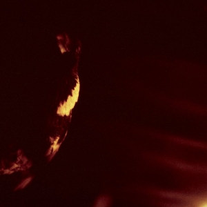 Skepticism - Stormcrowfleet (30Th Anniversary Ed in der Gruppe CD bei Bengans Skivbutik AB (5642625)