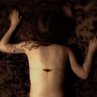 Svart Ridå - Aponia in der Gruppe VINYL / Kommande / Pop-Rock bei Bengans Skivbutik AB (5642645)