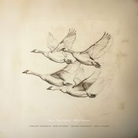 Josefine Cronholm Kirk Knuffke Mfl - Near The Pond: Wild Geese (180G.) in der Gruppe VINYL / Jazz bei Bengans Skivbutik AB (5643010)