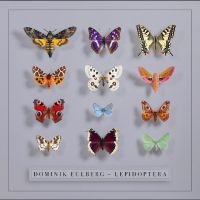 Eulberg Dominik - Lepidoptera in der Gruppe CD / Kommande / Pop-Rock bei Bengans Skivbutik AB (5643085)