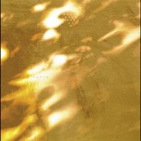 Svaneborg Kardyb - Haven in der Gruppe VINYL / Kommande / Jazz bei Bengans Skivbutik AB (5643105)