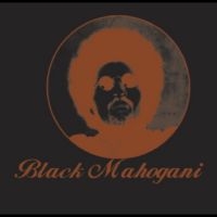 Moodymann - Black Mahogani in der Gruppe VINYL bei Bengans Skivbutik AB (5643114)