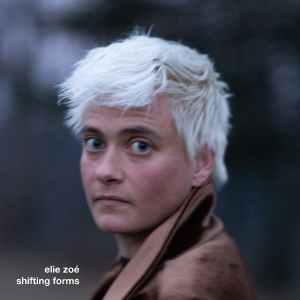 Elie Zoé - Shifting Forms in der Gruppe CD bei Bengans Skivbutik AB (5643230)