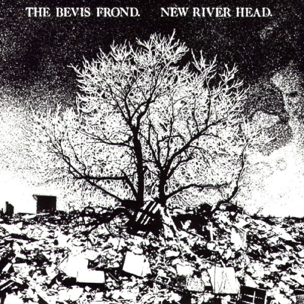 Bevis Frond The - New River Head in der Gruppe UNSERE TIPPS / Freitagsveröffentlichungen / 2025-10-17 bei Bengans Skivbutik AB (5643452)
