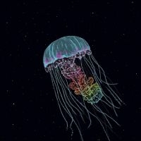 The Drowning World - Passive Margins in der Gruppe UNSERE TIPPS / Startsida - Vinyl Nyheter & Kommande bei Bengans Skivbutik AB (5643494)