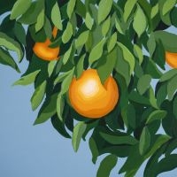 Tyler Ballgame - For The First Time Again (Orange Ma in der Gruppe VINYL / Kommande / Pop-Rock bei Bengans Skivbutik AB (5644251)