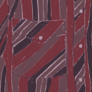 Fussell Jake Xerxes - Rebuilding in der Gruppe VINYL / Kommande / World Music bei Bengans Skivbutik AB (5644283)