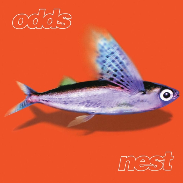 Odds - Nest in der Gruppe UNSERE TIPPS / Freitagsveröffentlichungen / 2025-11-21 bei Bengans Skivbutik AB (5644339)