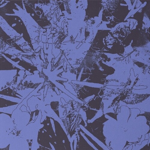 Plants Heal - Forest Dwellers in der Gruppe VINYL / Pop-Rock bei Bengans Skivbutik AB (5644550)