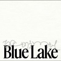 Blue Lake - The Animal in der Gruppe UNSERE TIPPS / Startsida - Vinyl Nyheter & Kommande bei Bengans Skivbutik AB (5644853)