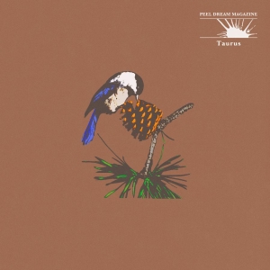 Peel Dream Magazine - Taurus (Yellow Tinted Transparent C in der Gruppe UNSERE TIPPS / Freitagsveröffentlichungen / 2025-11-28 bei Bengans Skivbutik AB (5645247)