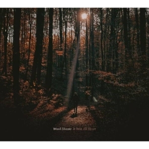 Ward Dhoore - It Was All Heart in der Gruppe CD bei Bengans Skivbutik AB (5645430)