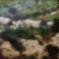 Aitcher Clark - Silliness in der Gruppe UNSERE TIPPS / Freitagsveröffentlichungen / 2025-10-24 bei Bengans Skivbutik AB (5645554)