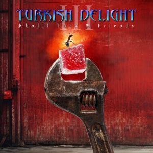 Various Artists - Turkish Delight Volume Three in der Gruppe UNSERE TIPPS / Freitagsveröffentlichungen / 2025-11-07 bei Bengans Skivbutik AB (5645566)