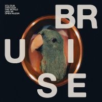 Bruise Blood - You Run Through The World Like An O in der Gruppe UNSERE TIPPS / Freitagsveröffentlichungen / 2025-10-31 bei Bengans Skivbutik AB (5645578)